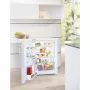 Liebherr TP 1720 hűtőszekrény, fehér, 85 cm, 145 l, led-világítás, 35 db(a)